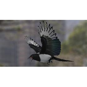 Africa Continent Photorealistic 30K 3D